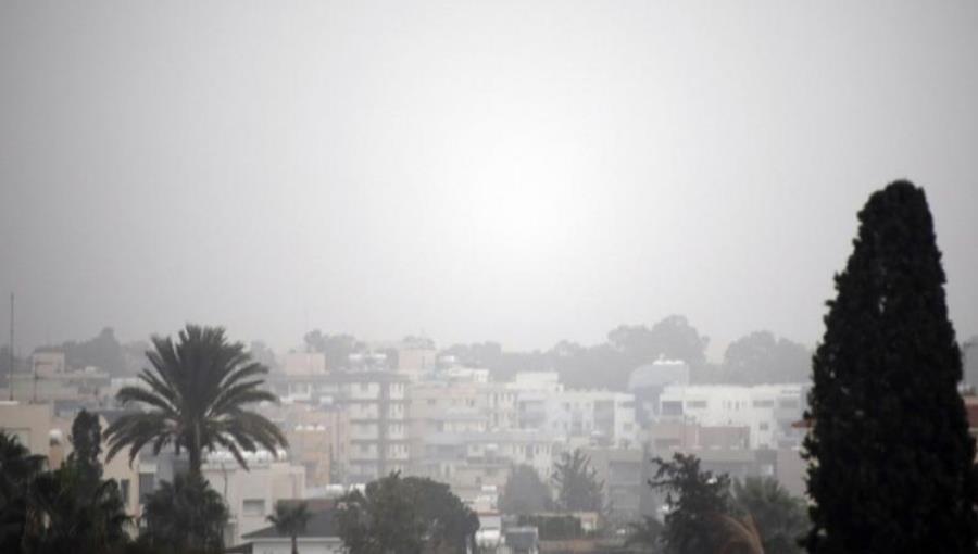 5444428465402879 cats