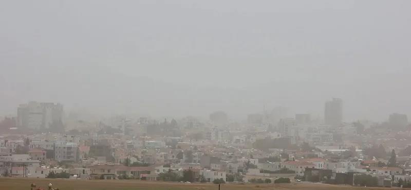 5444457660895448 image