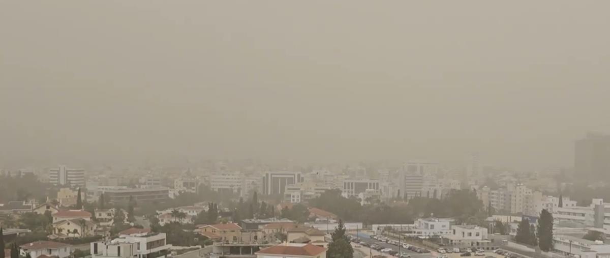 5444459874858709 cats