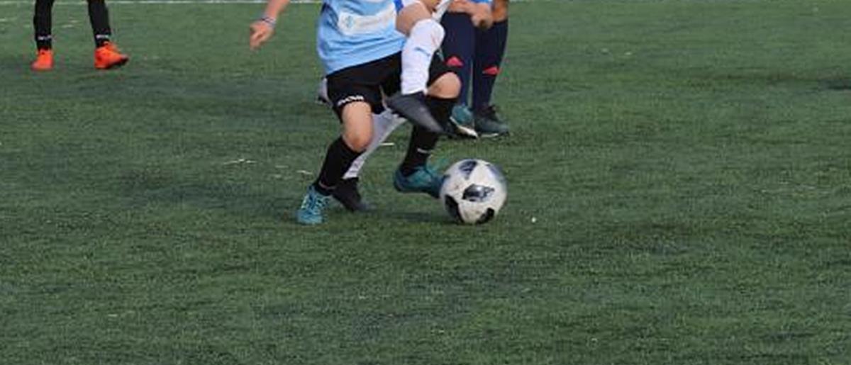 5444529492122020 cats