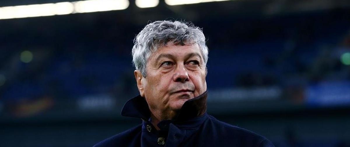 5444565951638160 cats