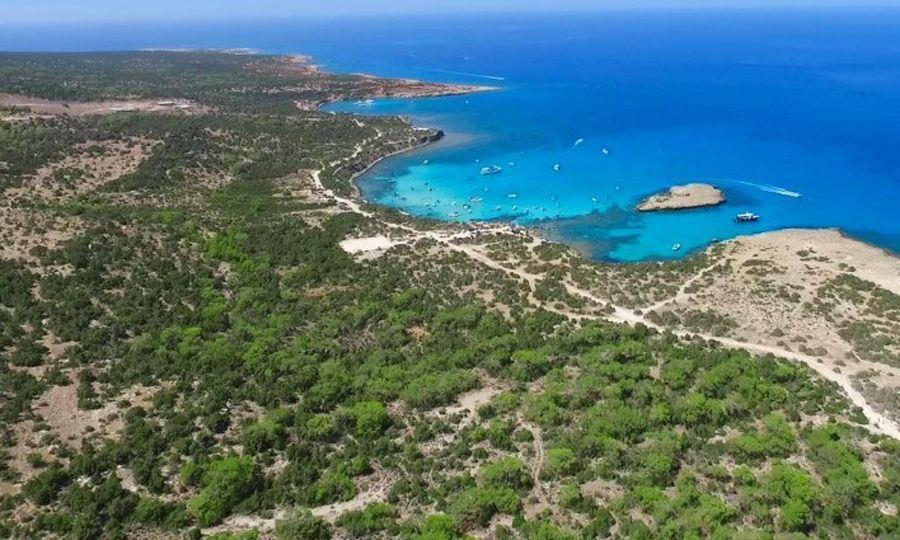 5444592277338936 image