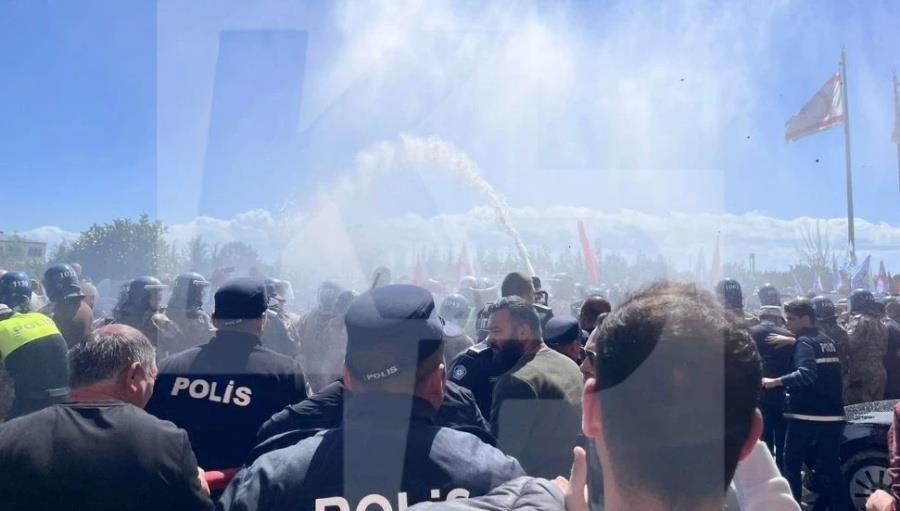 5444859887542549 image