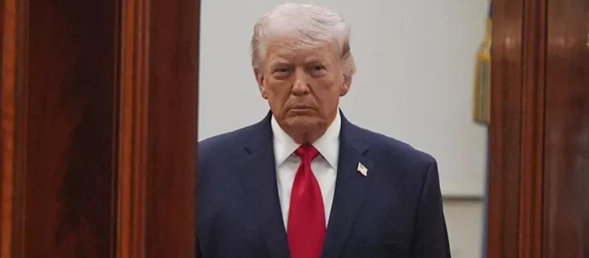 5445186346833601 cats