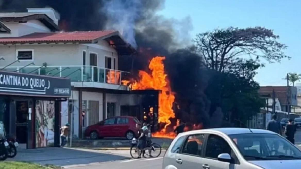 5445216336464517 image