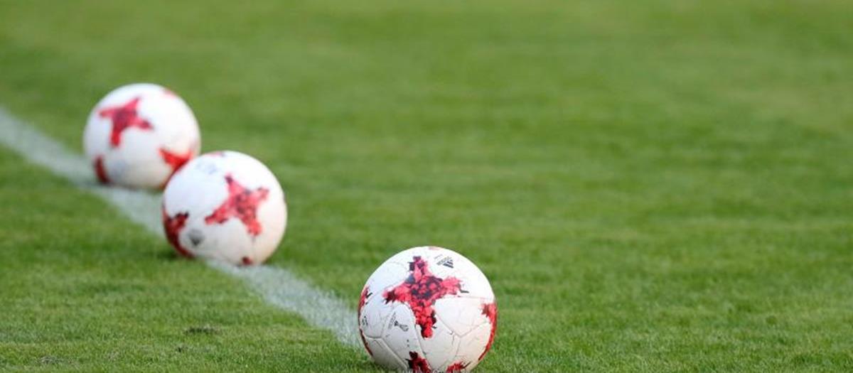 5445266675307166 cats