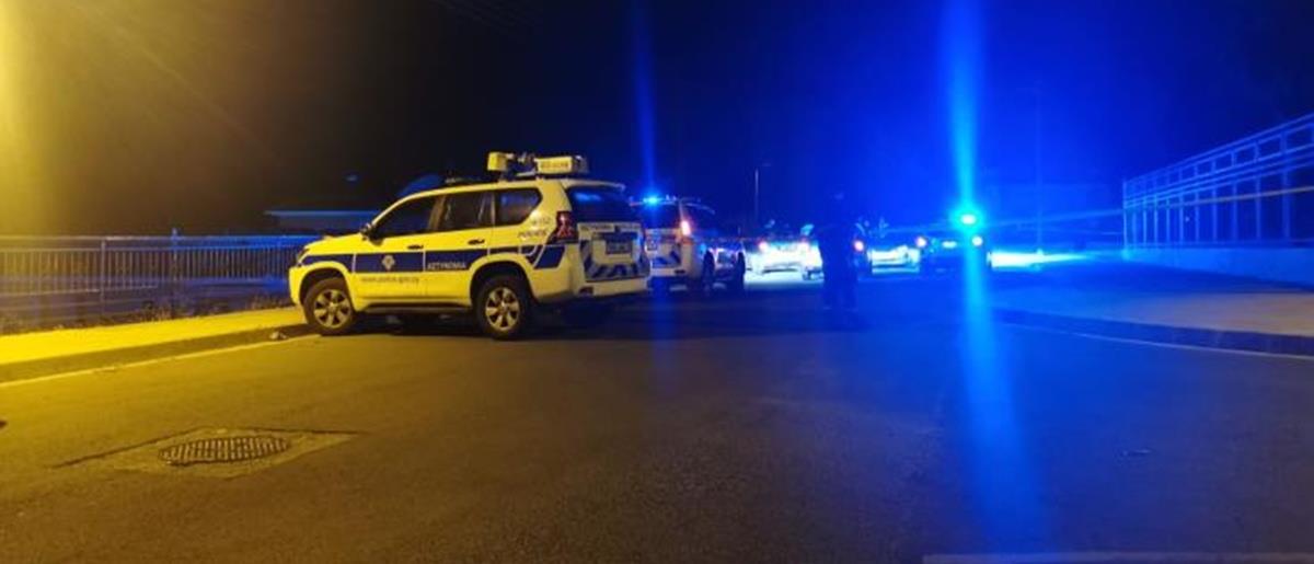 5445273007407079 cats