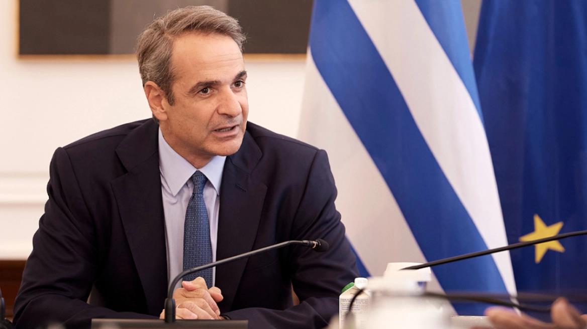 5445293051231333 image