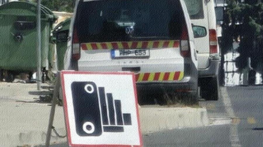 5445302756917239 cats