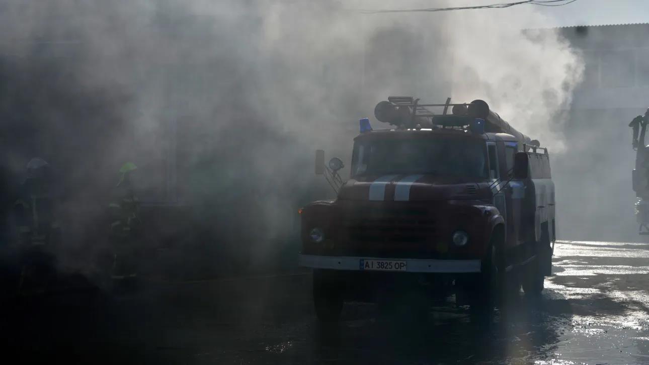 5445447504409578 image