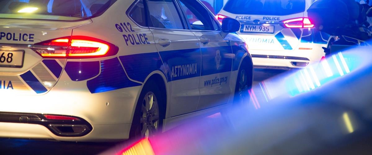 5445556172548706 cats