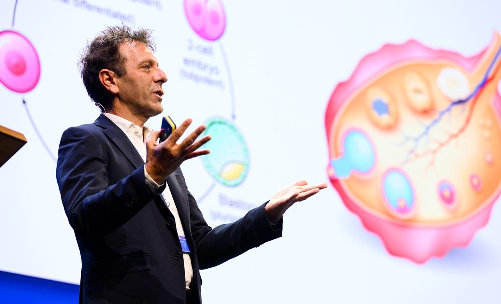 5443667516056016 sebastiano