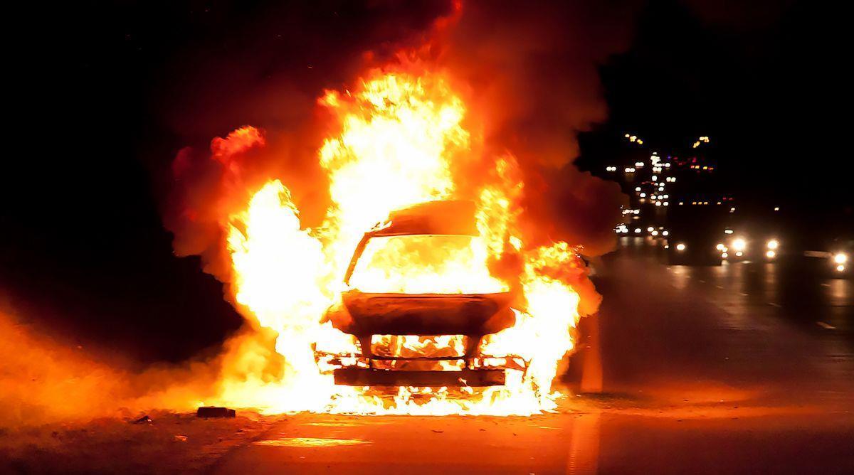 5446061477308596 image