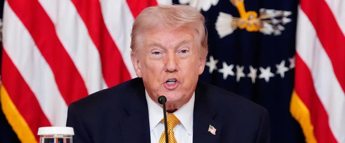 5446065482345228 cats