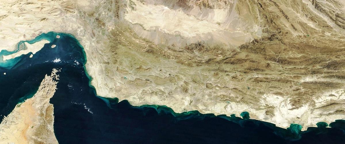 5446072230751418 cats