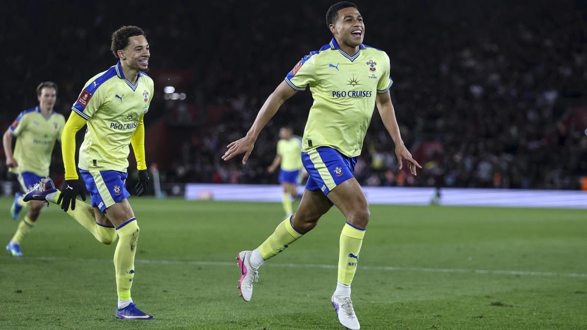 5446075528997747 image