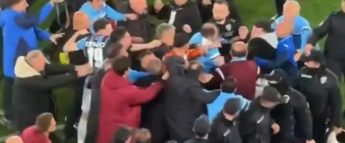 5446140456655320 cats