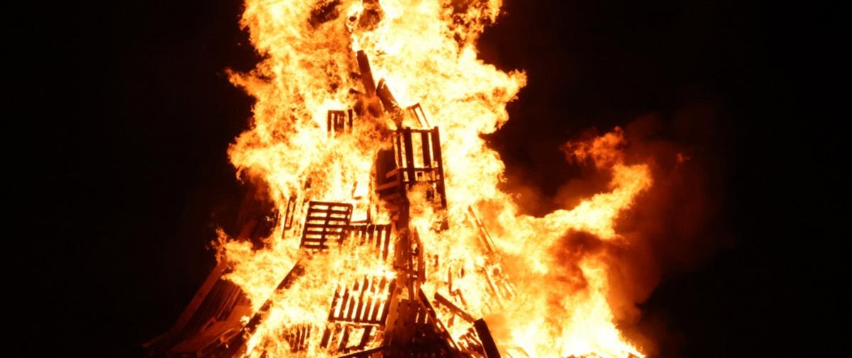 5446198274877387 cats