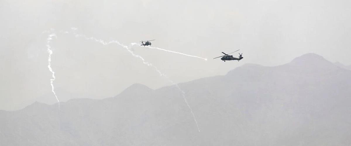 5446209887518023 cats