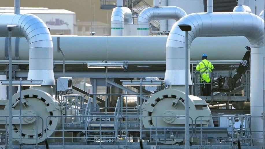 5446245822783515 image