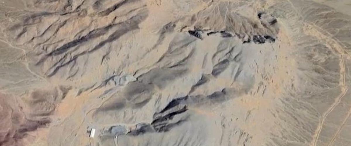 5446304383365995 cats