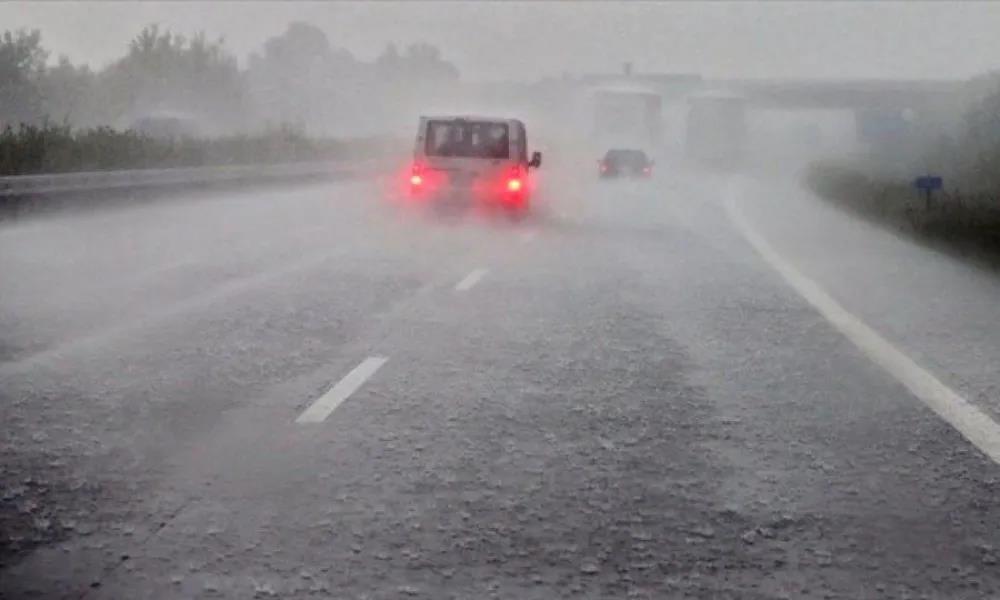 5446335013084017 image