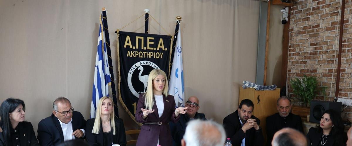 5446357625620250 cats