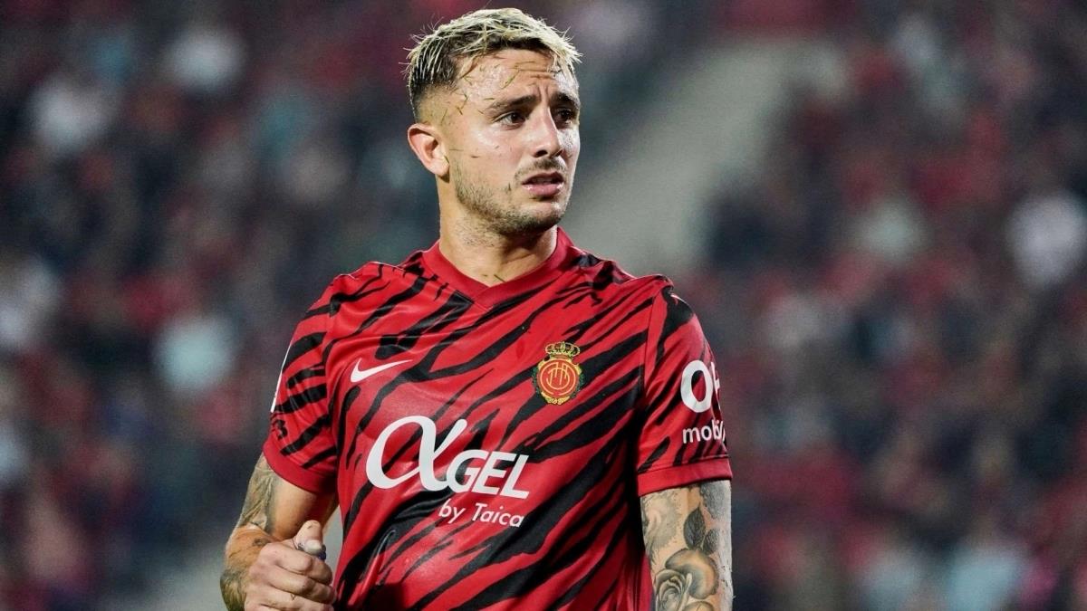 5446387378596415 image