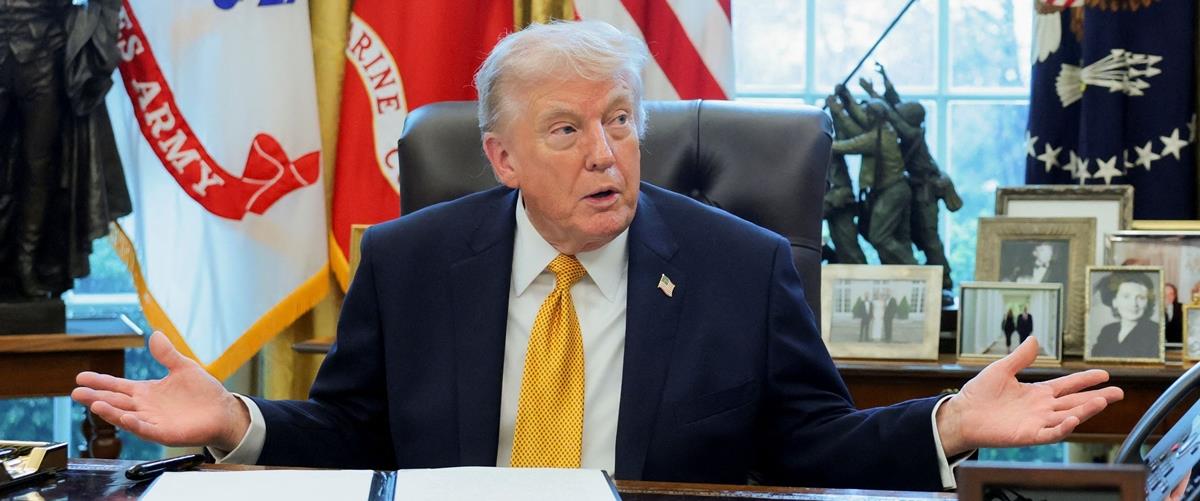 5446438646823516 cats