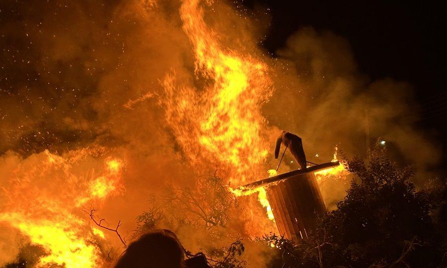 5446950244960498 image