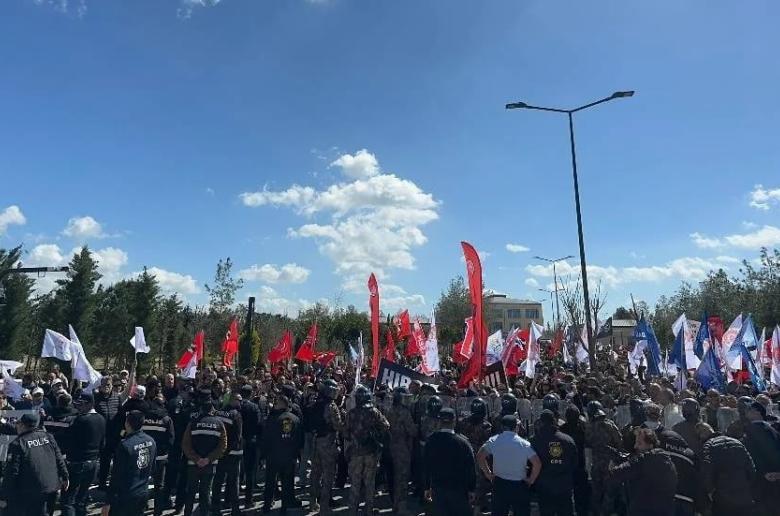 5447094034520688 image