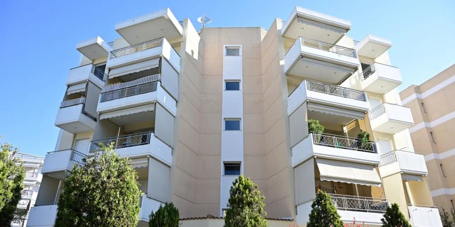 5447158133018720 image