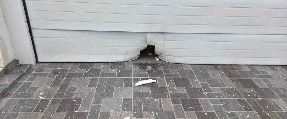 5447293381167903 cats