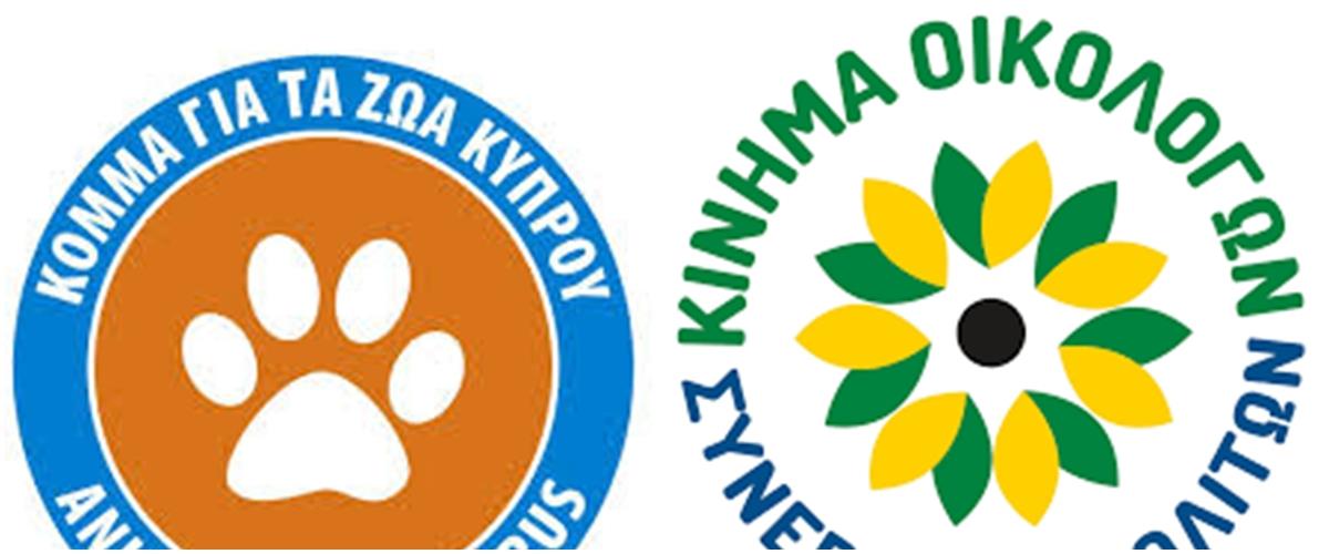 5447395154006319 page