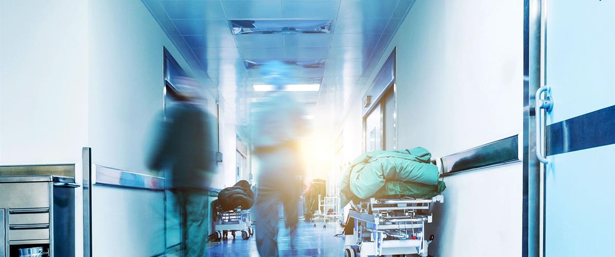 5447416370585221 cats