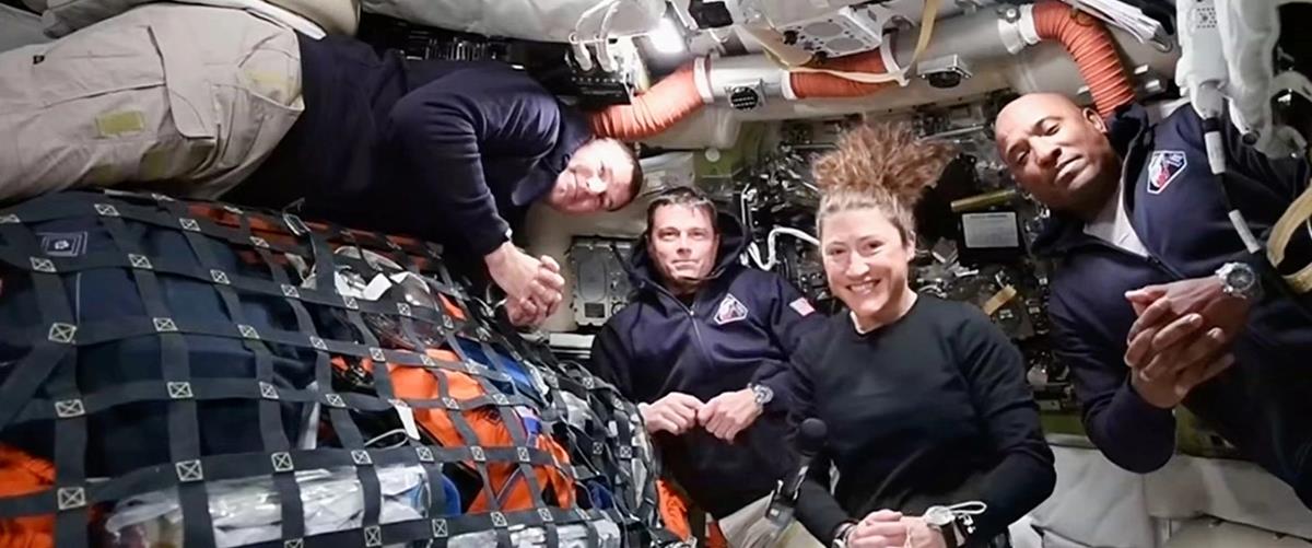 5447438191272929 cats