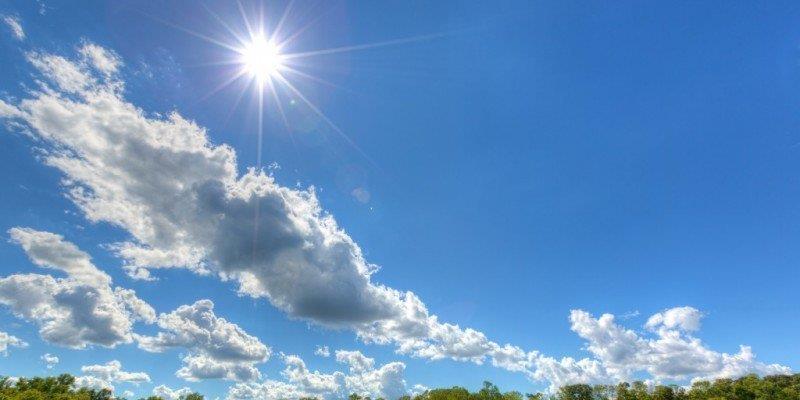 5447910356742648 image