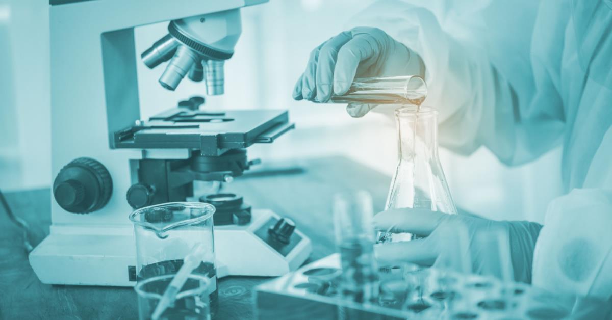 5447925872746726 image