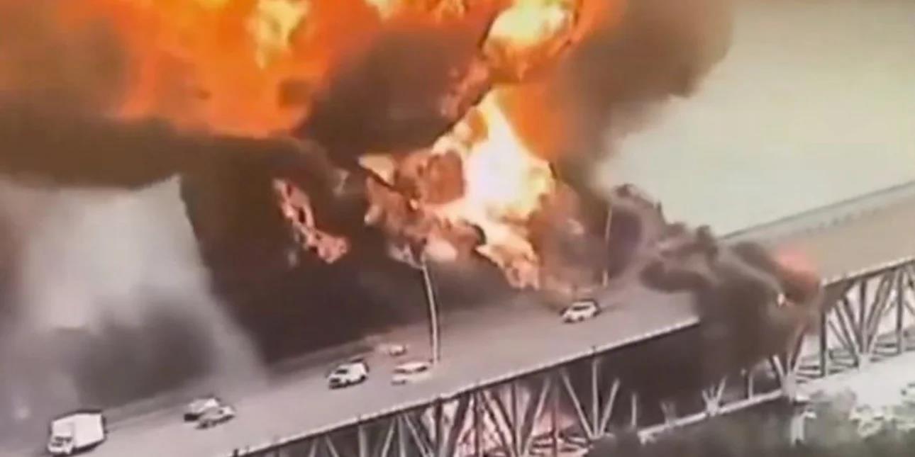 5447954013063186 image