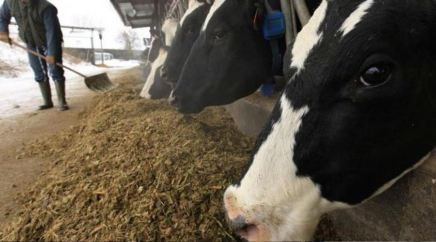 5448194460435793 2f7f8f2c-1772-49d3-912e-343891139f77 themaonline - 2024-09-18t134634.984