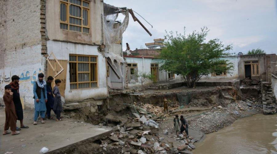 5448200306125975 sdasdasd-1200x686