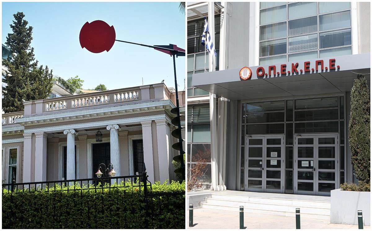 5448248917387765 image