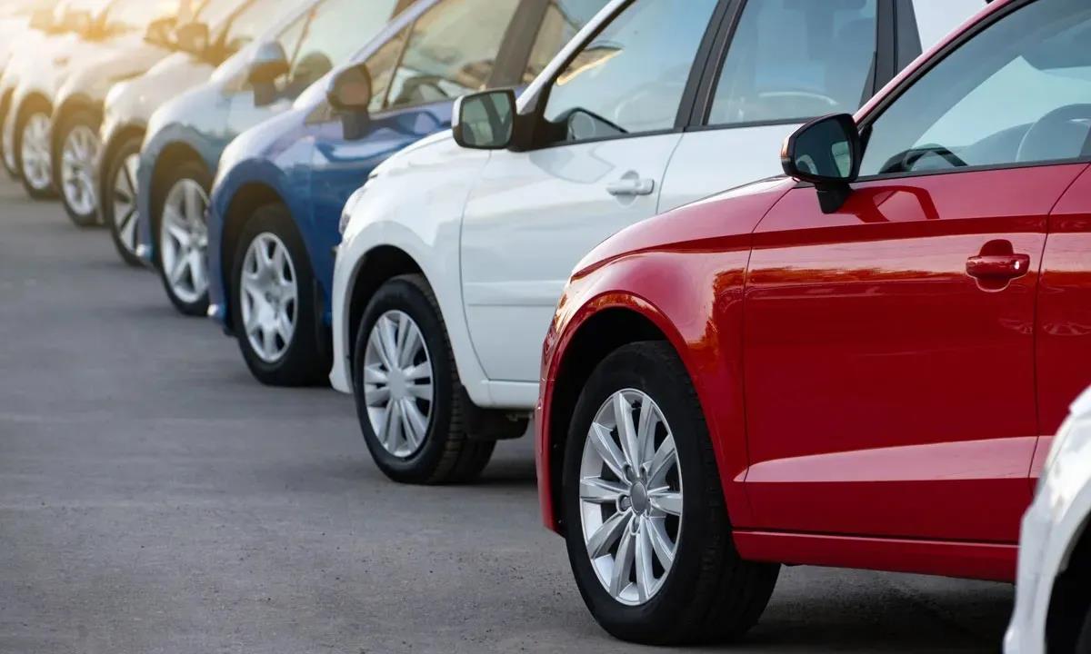 5448647253898981 image