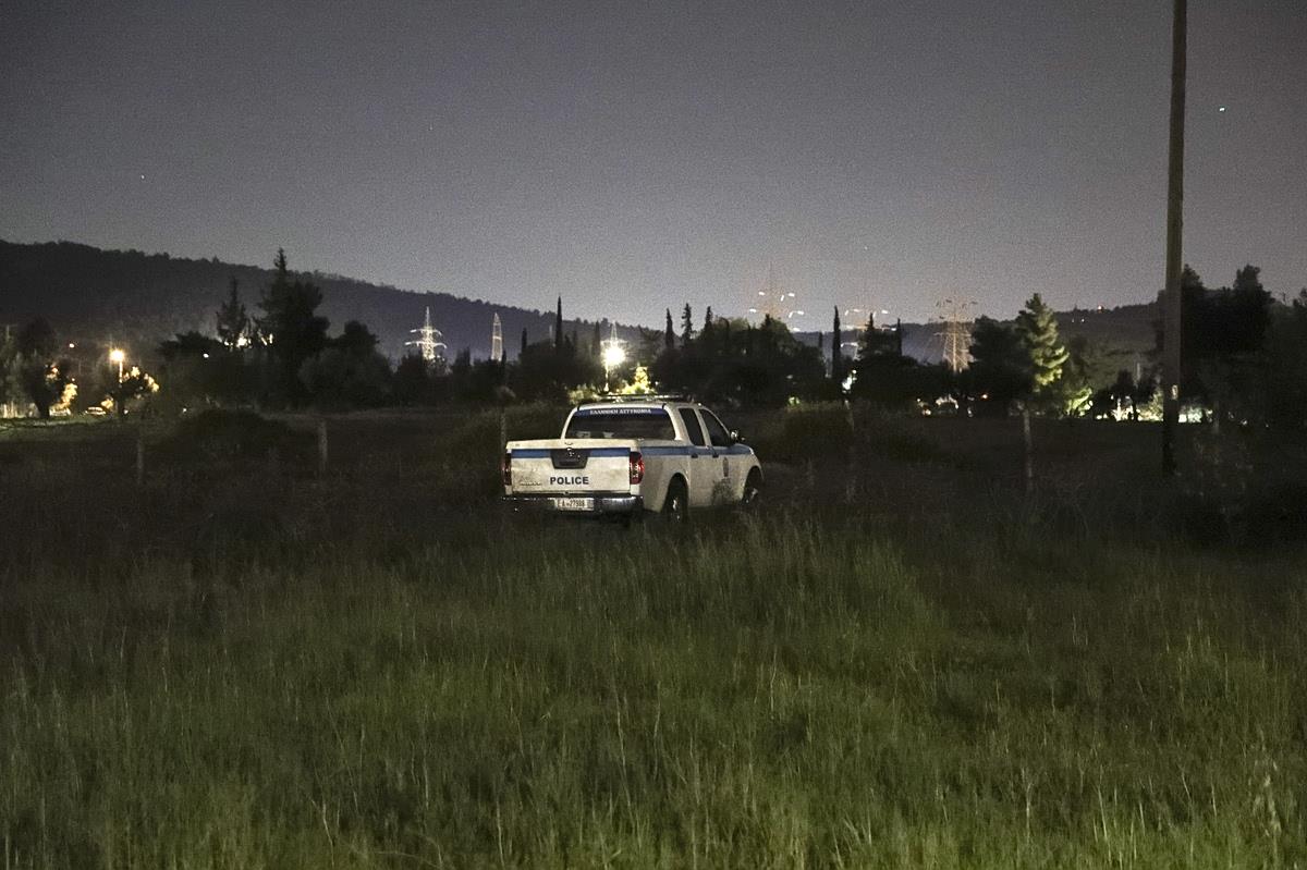 5448739347835804 image