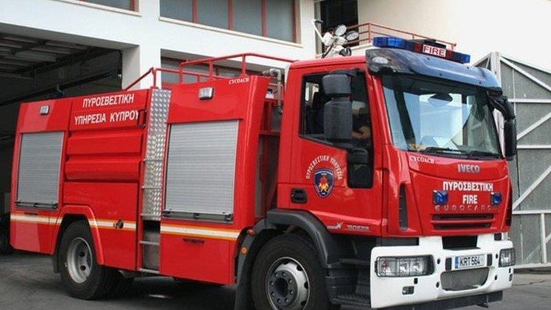 5448796596866775 image