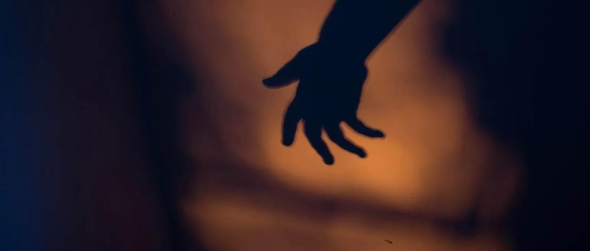 5448900026932457 cats