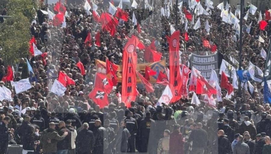 5448919930475878 image-478