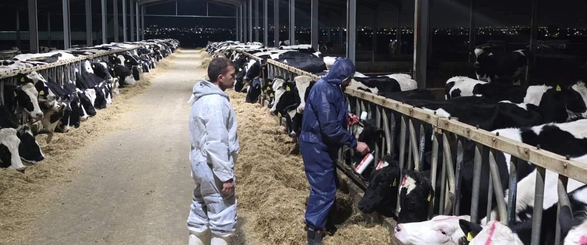 5448855190117857 620216639 2934577226882809 7568739205495971389 n