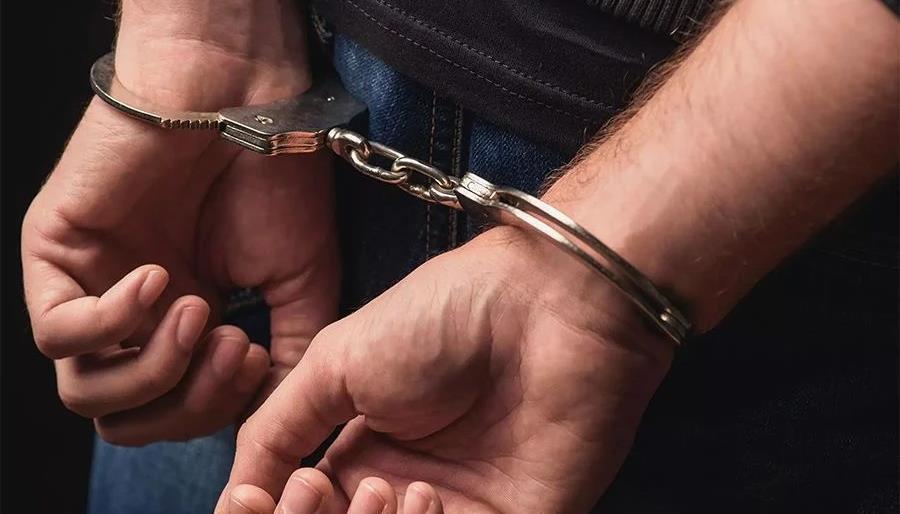 5449500754761442 cats