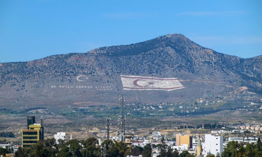 5449655801197666 image